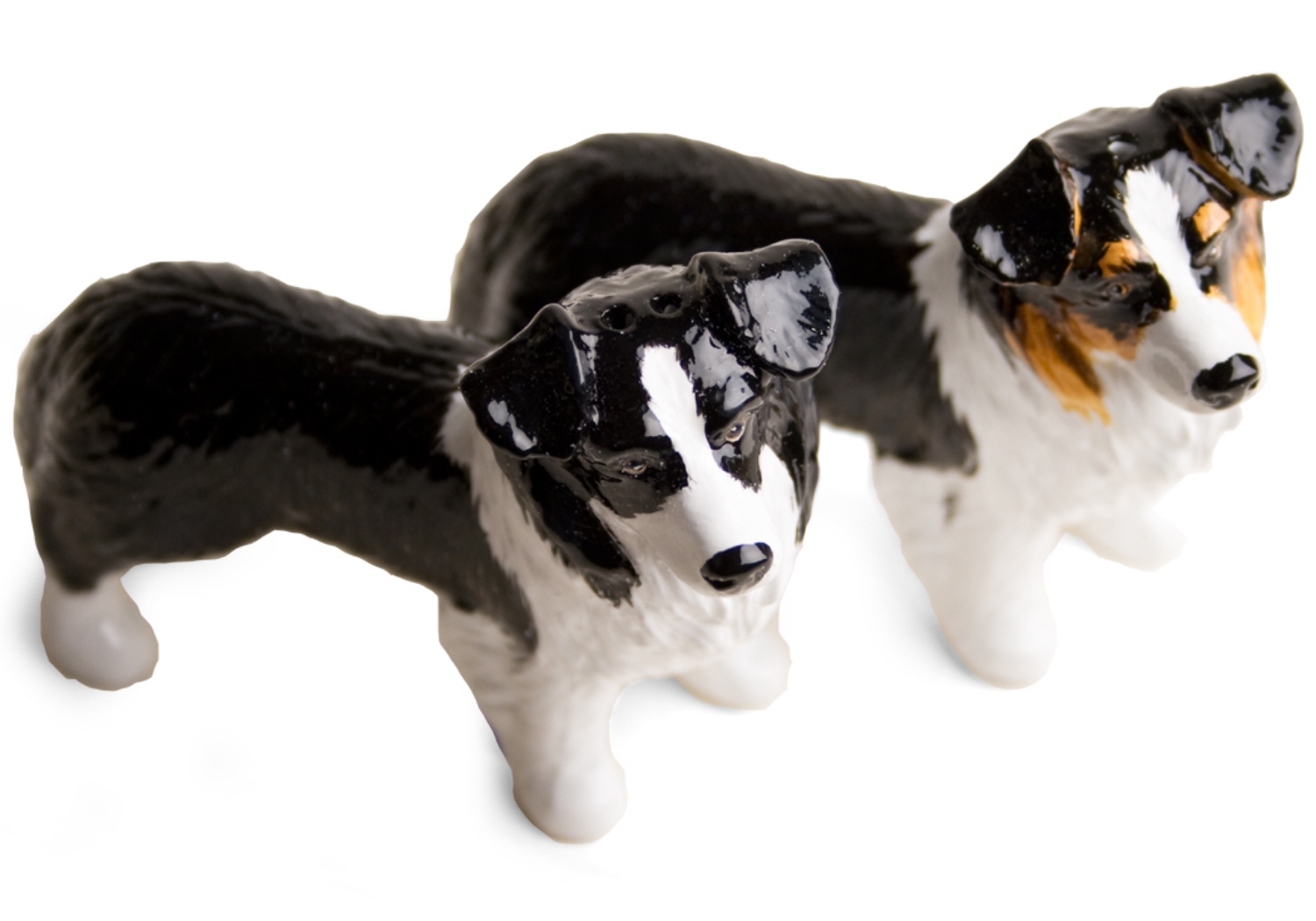 Border Collie Cruet Set