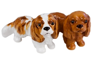Cavalier King Charles Cruet Set