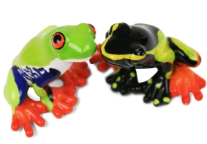 Frog Cruet Set