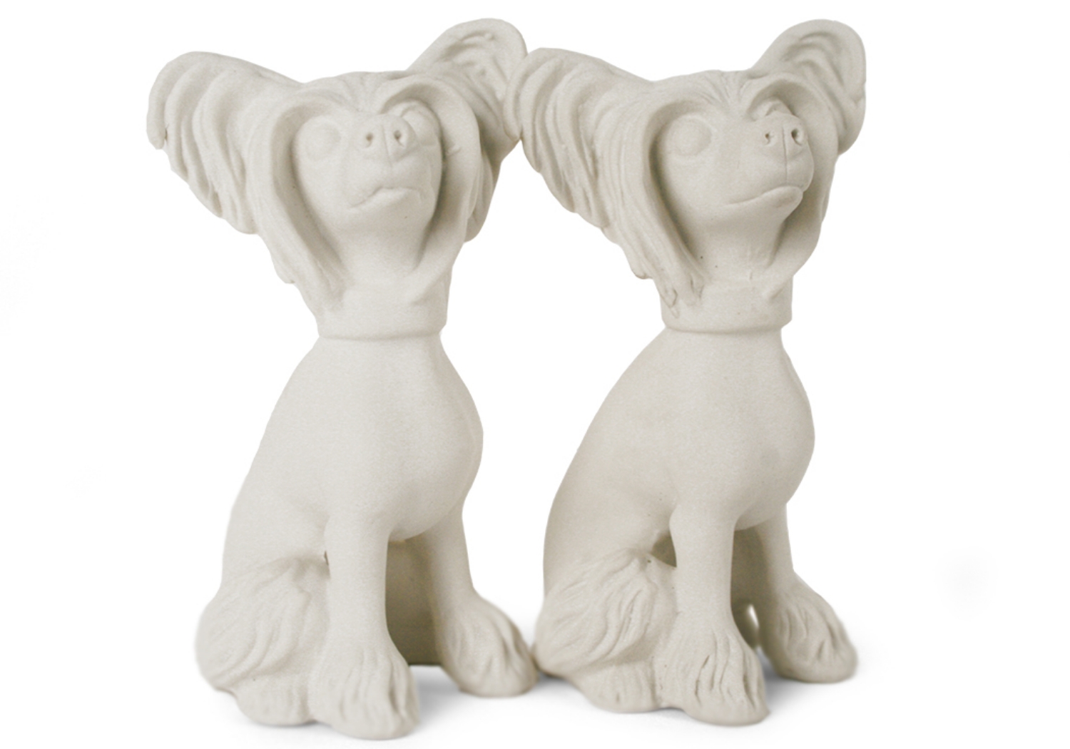 Chinese Crested Unpainted Cruet Set