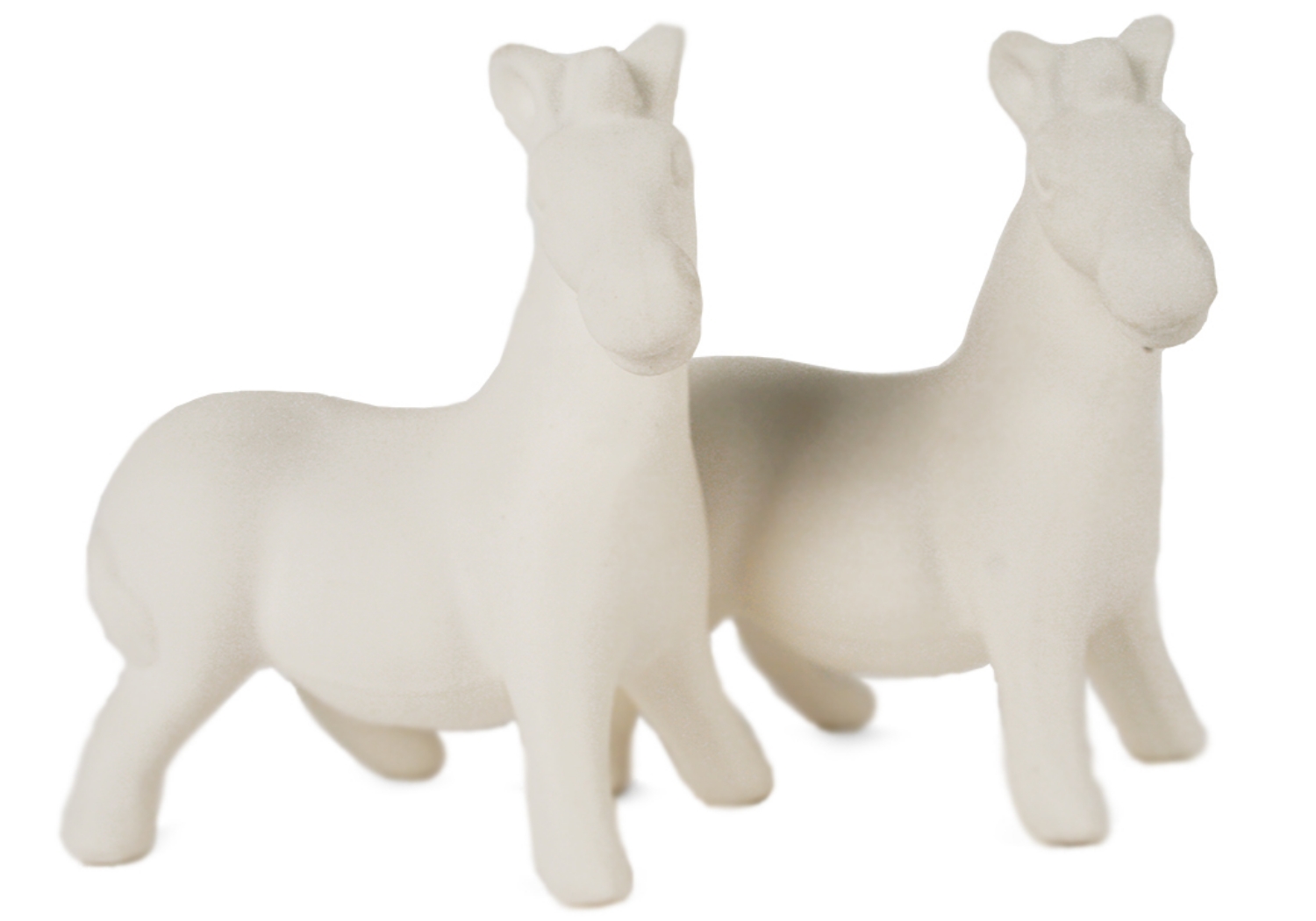 Zebra Unpainted Cruet Set