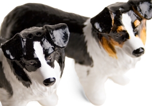 Border Collie Cruet Set