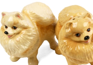 Pomeranian Cruet Set