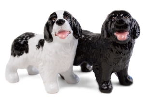 Newfoundland Cruet Set