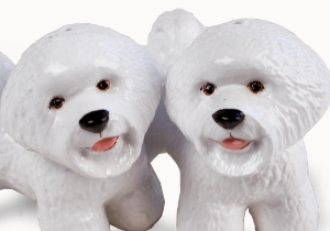 Bichon Frise Cruet Set