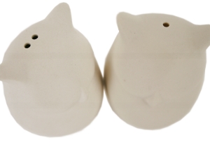 Owl Unpainted Cruet Set