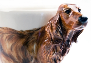 Irish Setter Coffee Mug