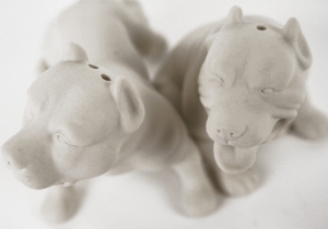 Pit Bull Terrier Unpainted Cruet Set