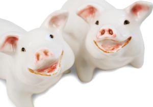 Pig Cruet Set